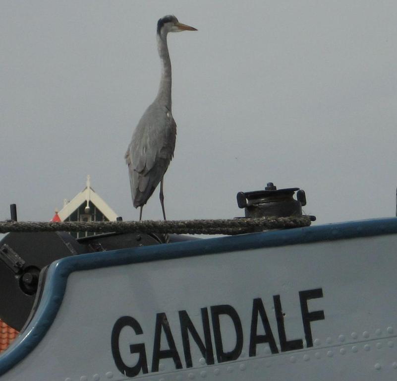 Hotelschip Gandalf Amsterdam Ngoại thất bức ảnh